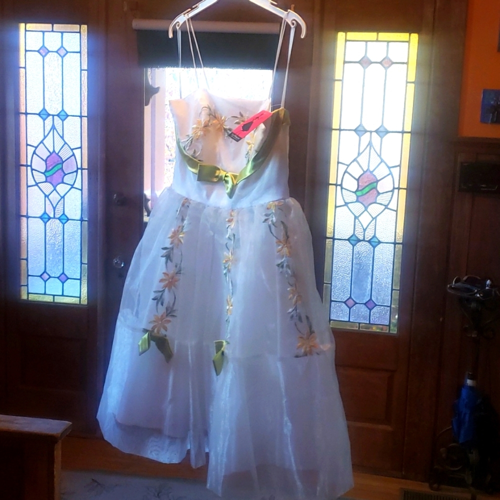 Unique Vintage dress with built-in petticoat. NWT